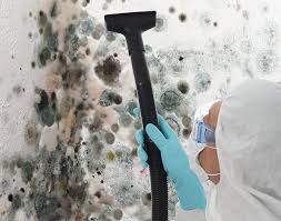 Best Mold Remediation for Healthcare Facilities in USA